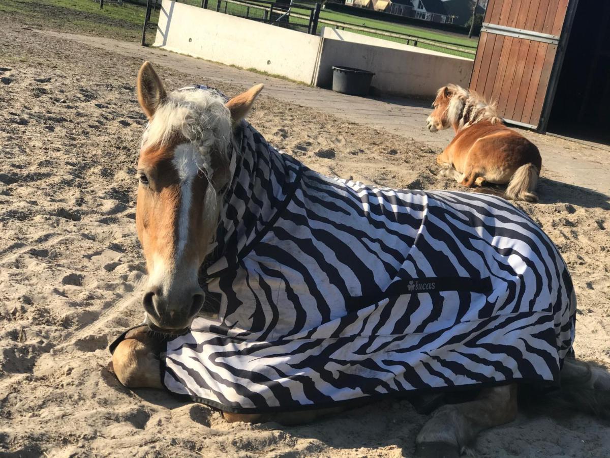 Landelijk Hijken Panzió Kültér fotó